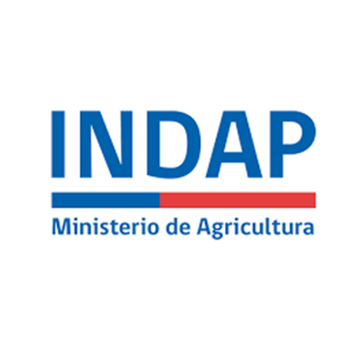 logo-2